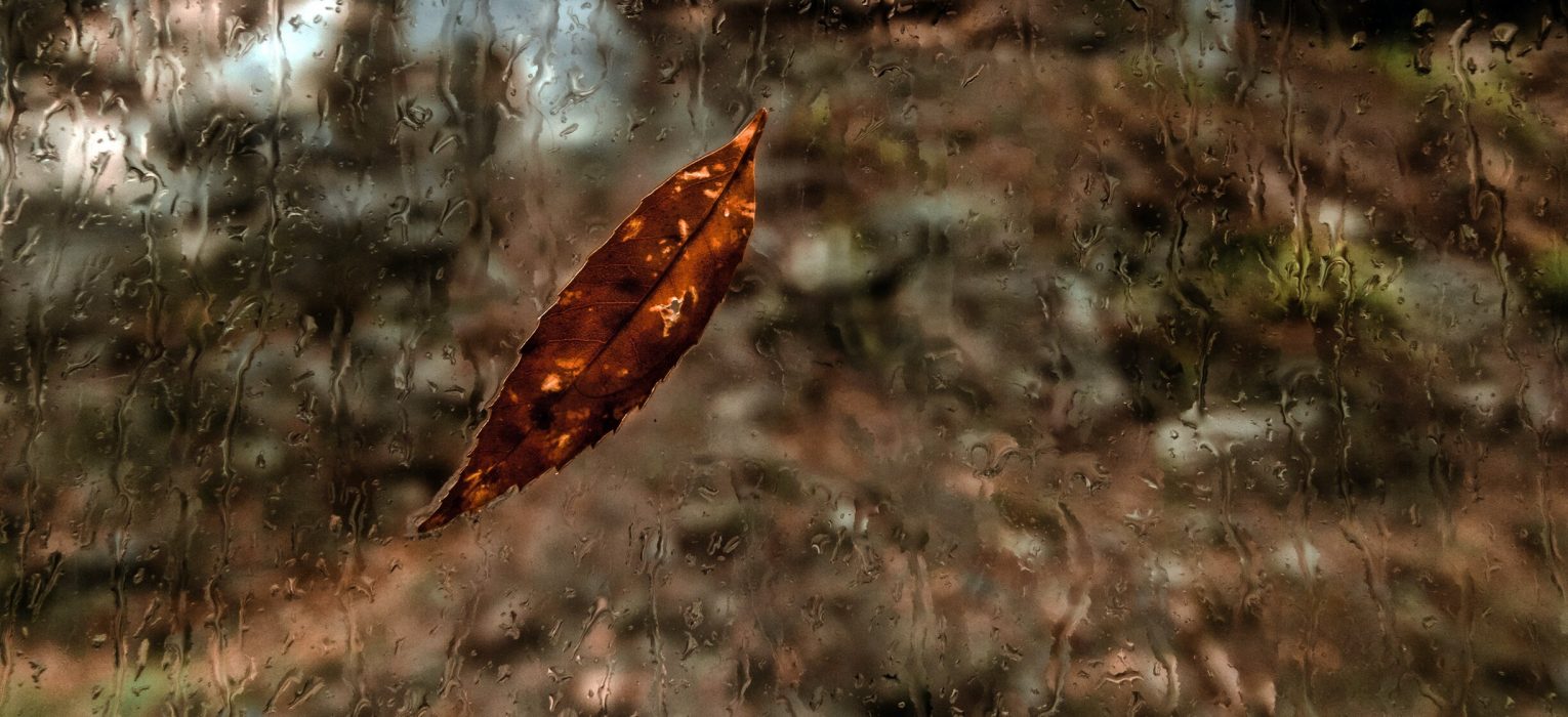 Featured Image